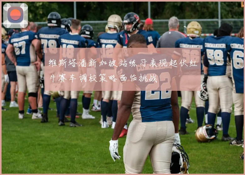 维斯塔潘新加坡站练习表现起伏红牛赛车调校策略面临挑战